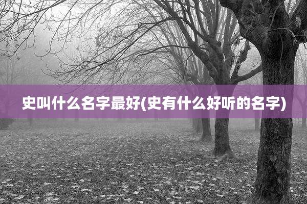 史叫什么名字最好(史有什么好听的名字)