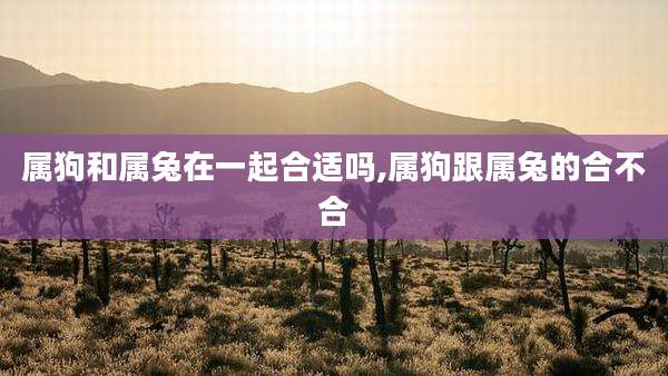 属狗和属兔在一起合适吗,属狗跟属兔的合不合