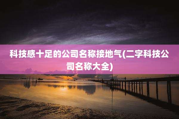 科技感十足的公司名称接地气(二字科技公司名称大全)