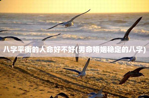 八字平衡的人命好不好(男命婚姻稳定的八字)