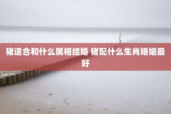 猪适合和什么属相结婚 猪配什么生肖婚姻最好