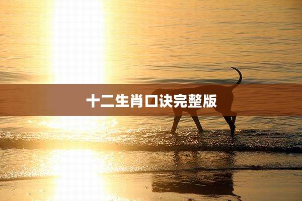 十二生肖口诀完整版