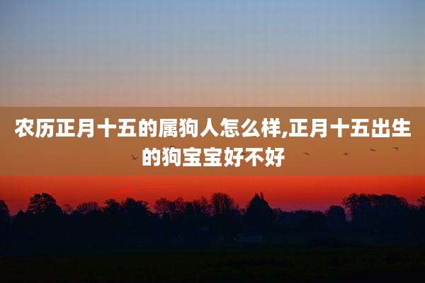 农历正月十五的属狗人怎么样,正月十五出生的狗宝宝好不好