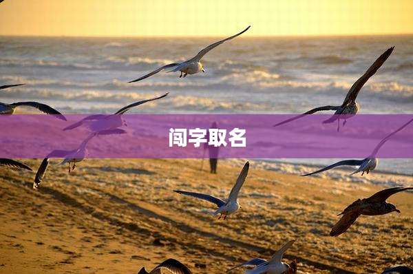 闯字取名