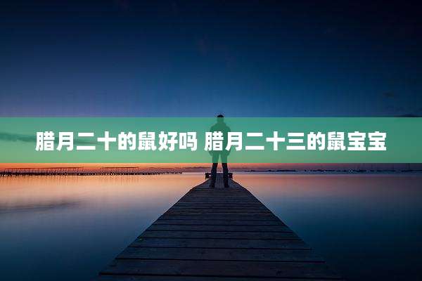 腊月二十的鼠好吗 腊月二十三的鼠宝宝