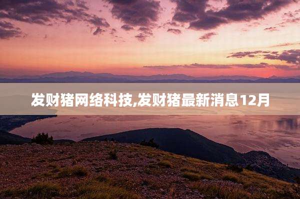 发财猪网络科技,发财猪最新消息12月