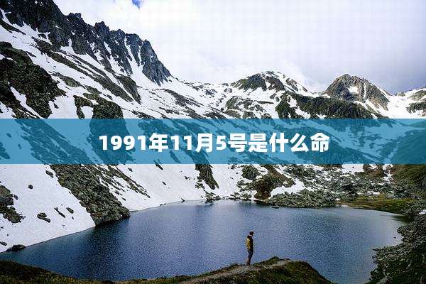 1991年11月5号是什么命