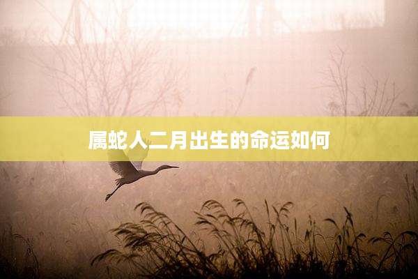 属蛇人二月出生的命运如何