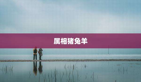属相猪兔羊