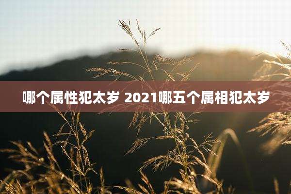 哪个属性犯太岁 2021哪五个属相犯太岁