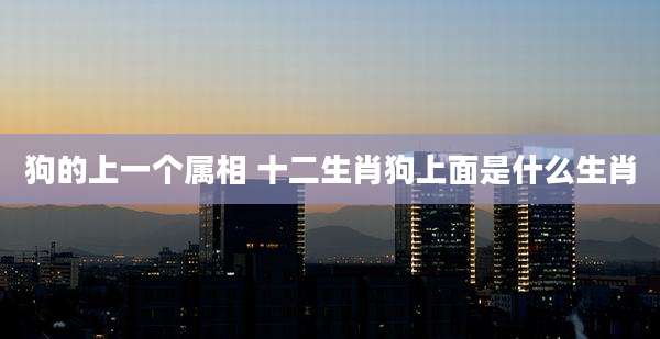 狗的上一个属相 十二生肖狗上面是什么生肖