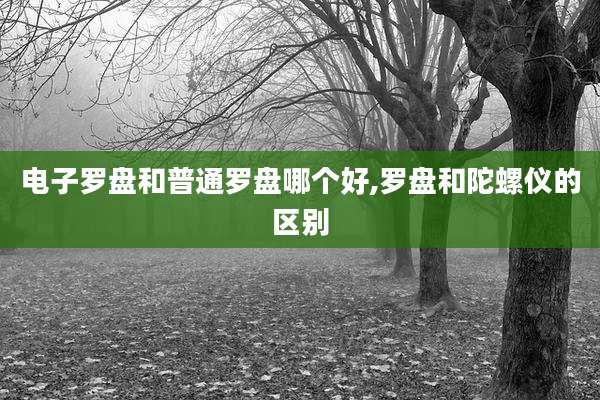 电子罗盘和普通罗盘哪个好,罗盘和陀螺仪的区别