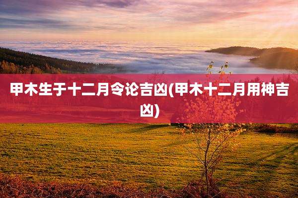 甲木生于十二月令论吉凶(甲木十二月用神吉凶)