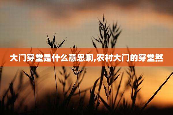 大门穿堂是什么意思啊,农村大门的穿堂煞