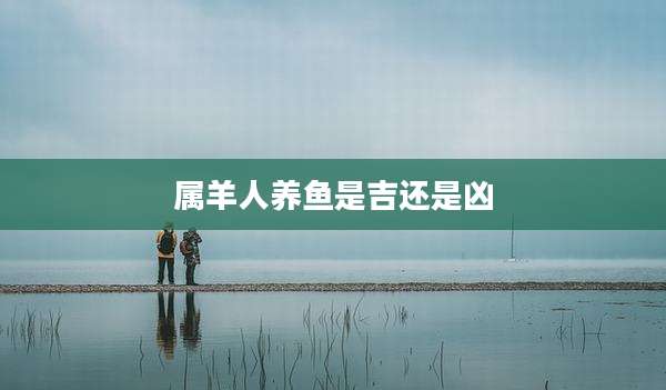 属羊人养鱼是吉还是凶
