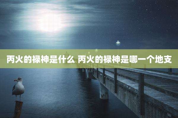 丙火的禄神是什么 丙火的禄神是哪一个地支