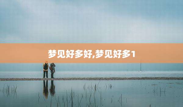 梦见好多好,梦见好多1