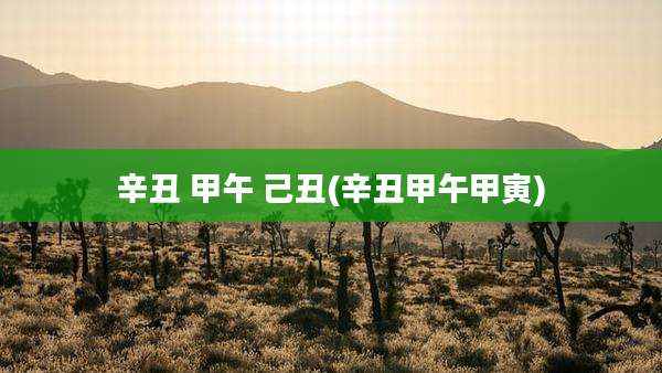 辛丑 甲午 己丑(辛丑甲午甲寅)