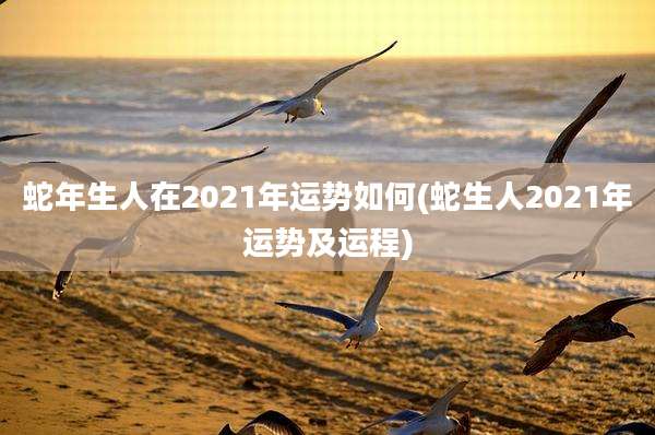 蛇年生人在2021年运势如何(蛇生人2021年运势及运程)