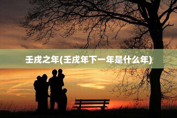 壬戌之年(壬戌年下一年是什么年)