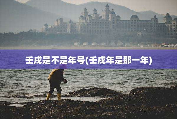 壬戌是不是年号(壬戌年是那一年)