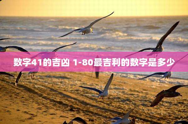 数字41的吉凶 1-80最吉利的数字是多少