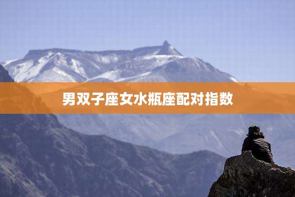 男双子座女水瓶座配对指数