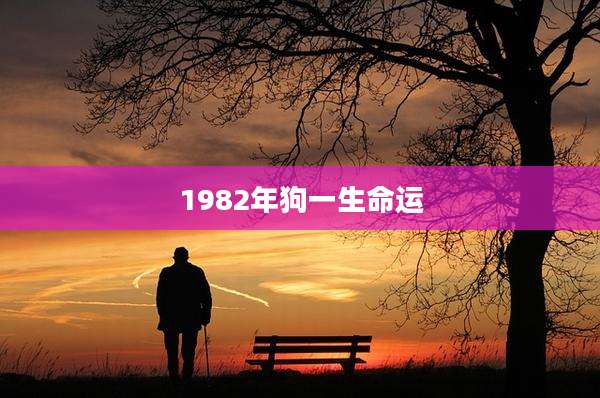 1982年狗一生命运