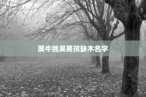 属牛姓吴男孩缺木名字