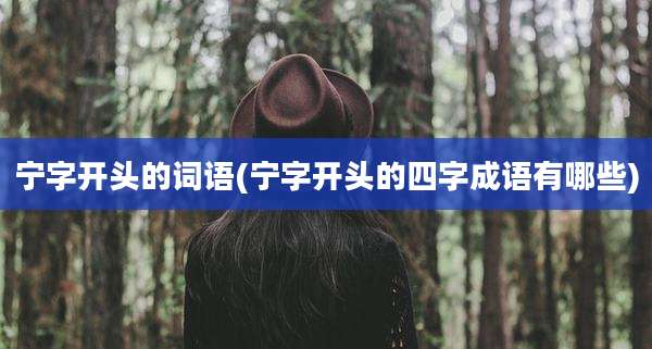 宁字开头的词语(宁字开头的四字成语有哪些)
