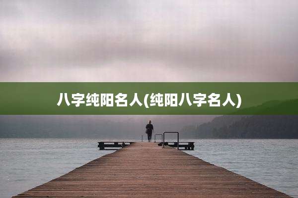 八字纯阳名人(纯阳八字名人)
