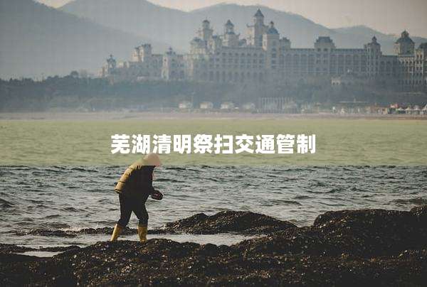 芜湖清明祭扫交通管制