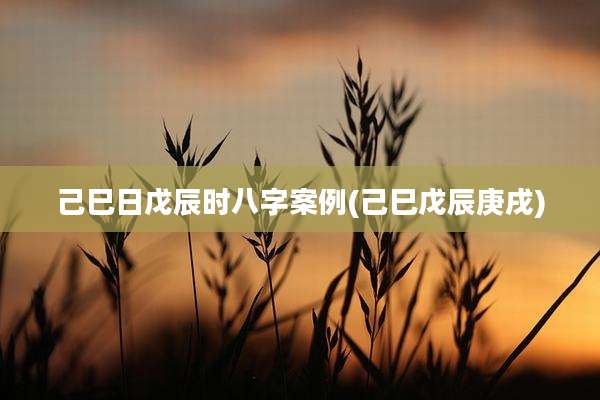 己巳日戊辰时八字案例(己巳戊辰庚戌)