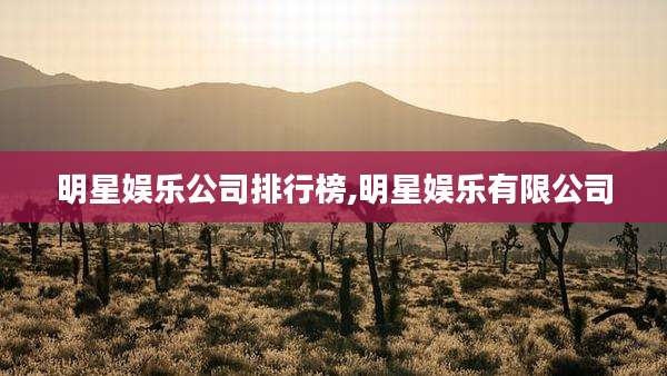 明星娱乐公司排行榜,明星娱乐有限公司
