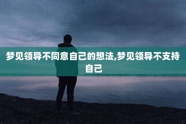 梦见领导不同意自己的想法,梦见领导不支持自己