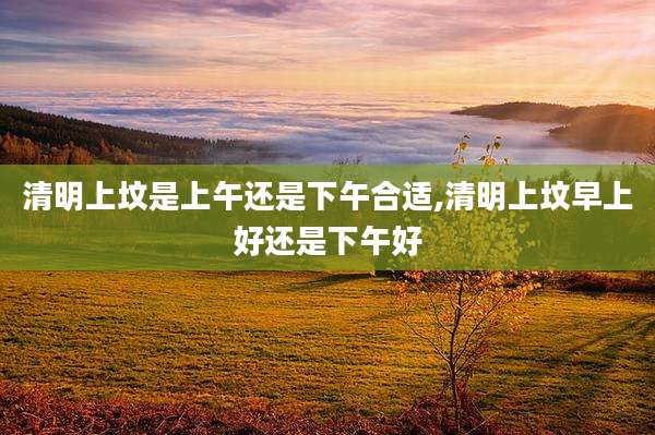清明上坟是上午还是下午合适,清明上坟早上好还是下午好