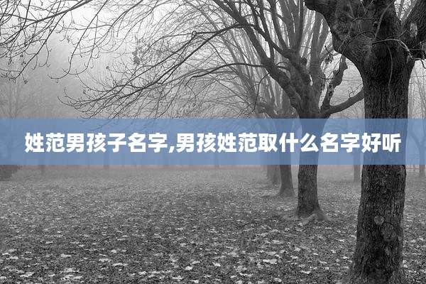姓范男孩子名字,男孩姓范取什么名字好听