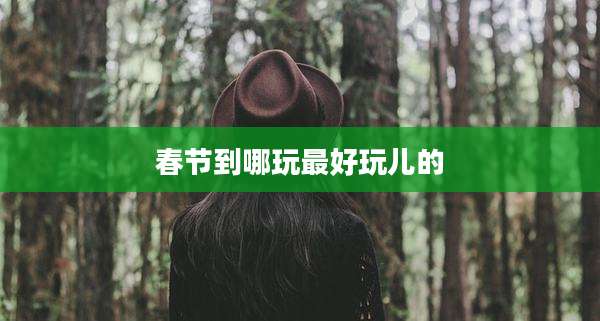 春节到哪玩最好玩儿的