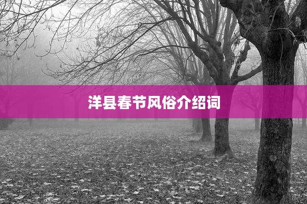 洋县春节风俗介绍词