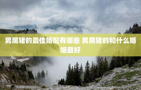 男属猪的最佳婚配有哪些 男属猪的和什么婚姻最好