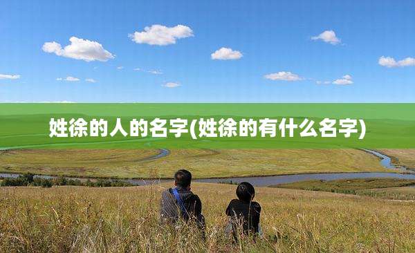 姓徐的人的名字(姓徐的有什么名字)