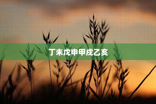 丁未戊申甲戌乙亥