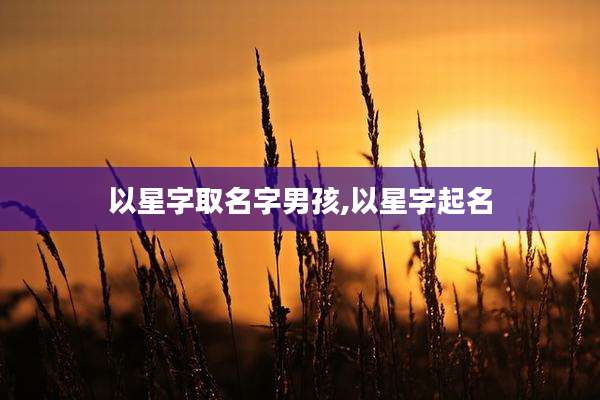 以星字取名字男孩,以星字起名