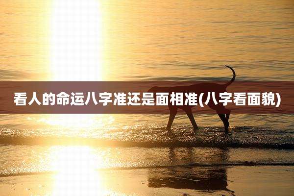 看人的命运八字准还是面相准(八字看面貌)