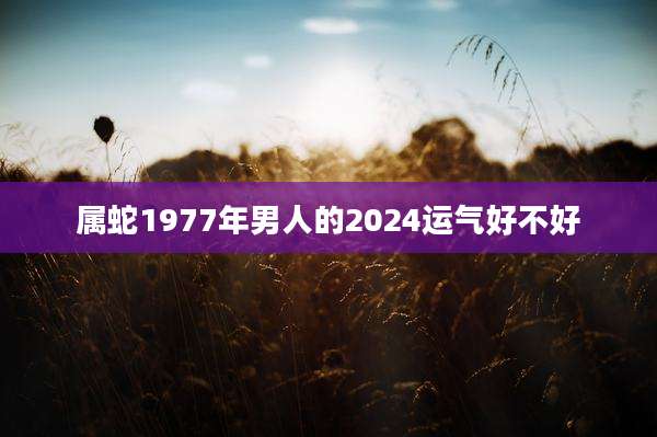 属蛇1977年男人的2024运气好不好