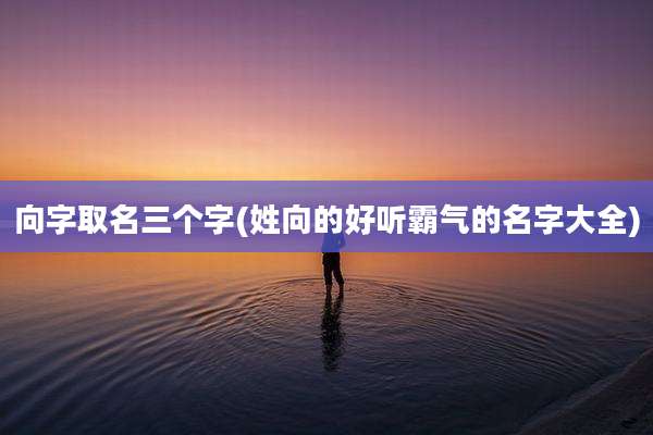 向字取名三个字(姓向的好听霸气的名字大全)