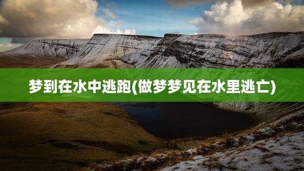 梦到在水中逃跑(做梦梦见在水里逃亡)