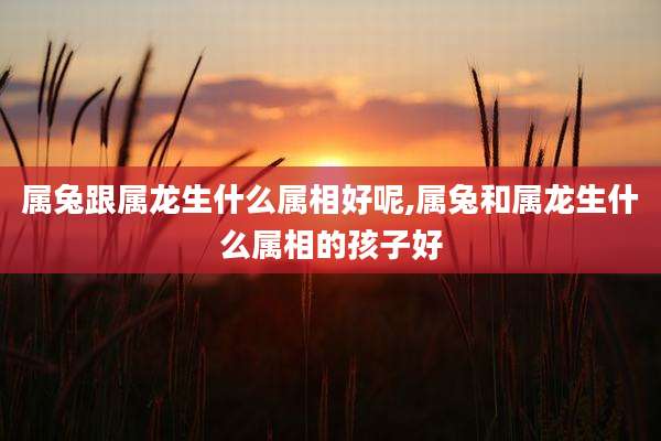 属兔跟属龙生什么属相好呢,属兔和属龙生什么属相的孩子好