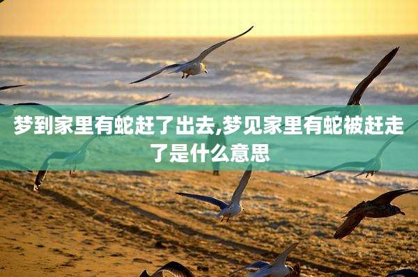 梦到家里有蛇赶了出去,梦见家里有蛇被赶走了是什么意思