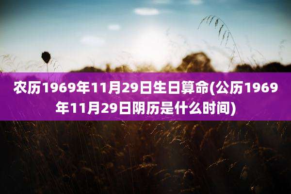 农历1969年11月29日生日算命(公历1969年11月29日阴历是什么时间)
